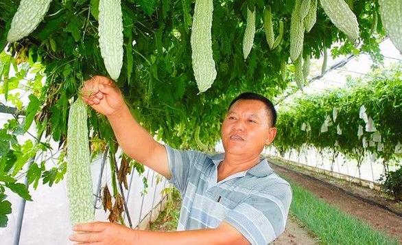 Ĵ˱д˰߲˳Ϊũ¸֧ҵ