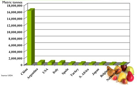 世界梨产量10年增四成 中国贡献最大