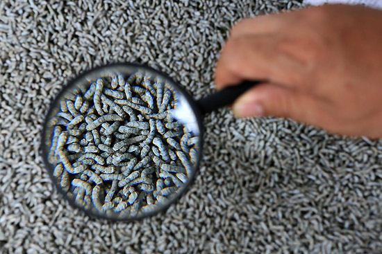 630գڹˮˮ͡СϹҡһũ÷Ŵ󾵹۲С