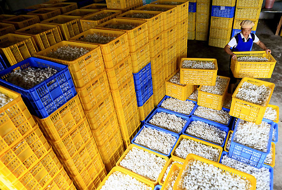 630գˮһ˿ĹԱڵؼչĲϼ롣