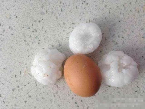 暴雨致鄂尔多斯11人遇难 房屋位于深沟引悲剧