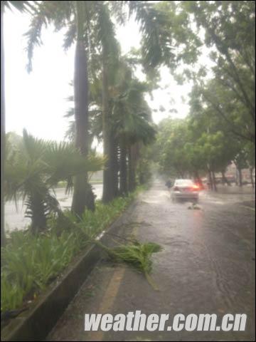 ���±��ǡ�Я������½�㶫տ�����������д���