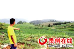 ¹óÖÝ᯹®£º2λ¡°90ºó¡±ÇàÄêµÄ·µÏ紴ҵ֮·£¨Í¼£º1£©