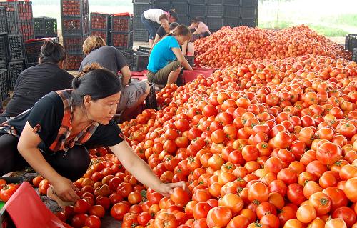 630գӱ㿪ִũҵƼ԰Ĳũǰջװ䡣