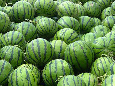 ���ճ���ɹ���㽭 ������һ������500������