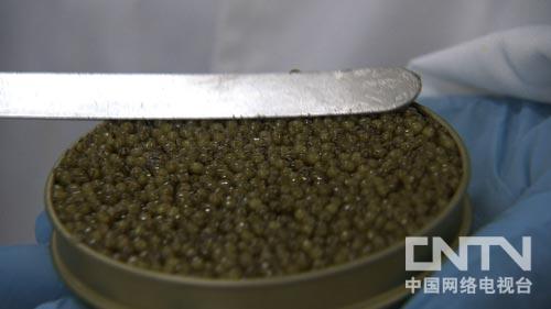 致富经:用25瓶不同鱼子酱打开北京市场(图:4)