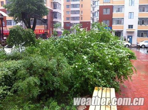 ������ǿ��ˮϮ������ ����������8���겿��ѧУͣ��