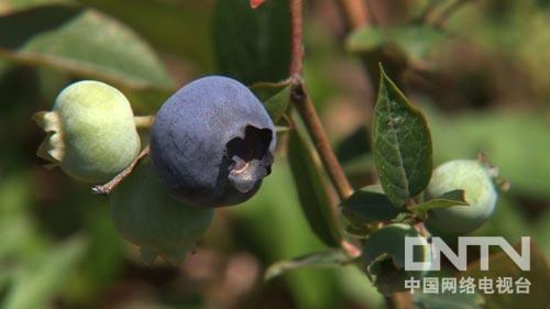 ¸80 Ӵׯʧ6µࣨͼ3