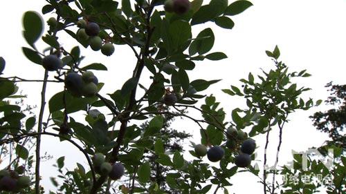 ¸80 Ӵׯʧ6µࣨͼ5