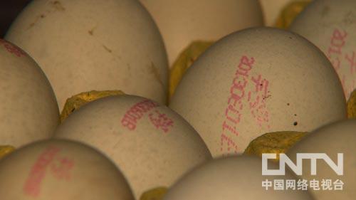 致富经:一个细节让同样的蛋卖出两倍的价(图:9)