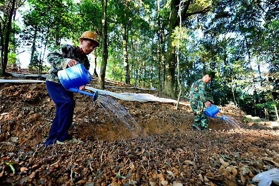 ƺ羣ƺũïܵȻ¹72㣩