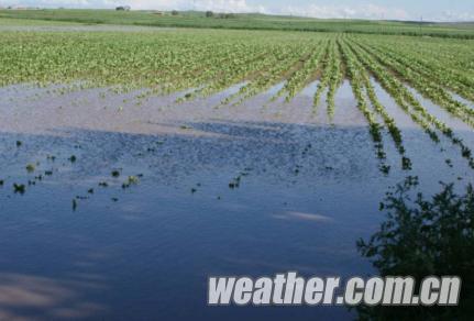 内蒙古雨一直下 雷击洪灾夺两命