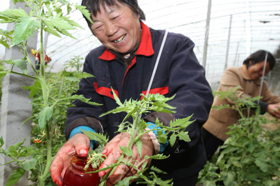 ����ƽ������2500������ͥũ������