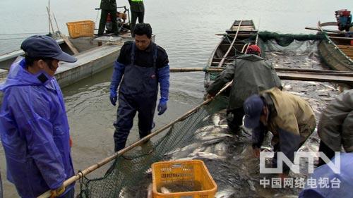 致富经:一元硬币引发的财富奇遇(图:2)