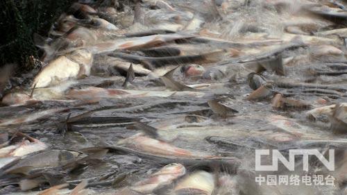 致富经:一元硬币引发的财富奇遇(图:3)