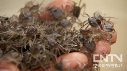 致富经:一元硬币引发的财富奇遇(图:4)