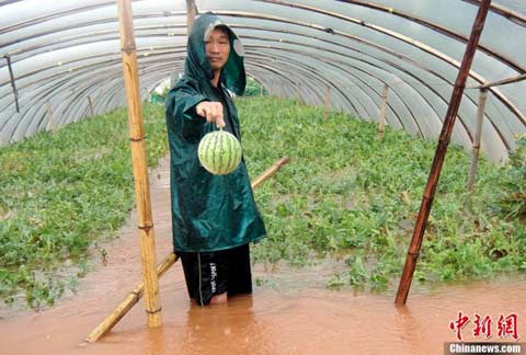 “苏力”致江西35.84万人受灾 2人死亡