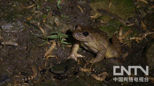 致富经:胆小大学生的意外选择(图:6)