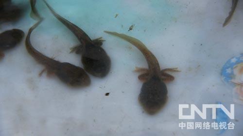 致富经:胆小大学生的意外选择(图:7)