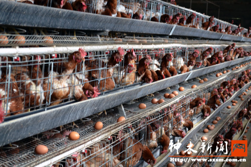 ľѦ˩˩ɫֳؿũ¸·ͼ1