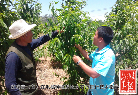 任瑞青带动村里200余户农民致富