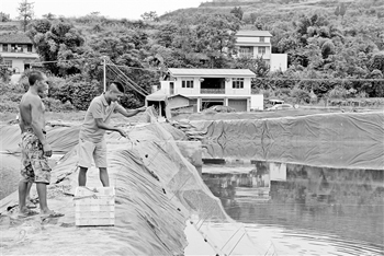 重庆沙金村:偏僻山村养海虾 不怕风吹怕雨打
