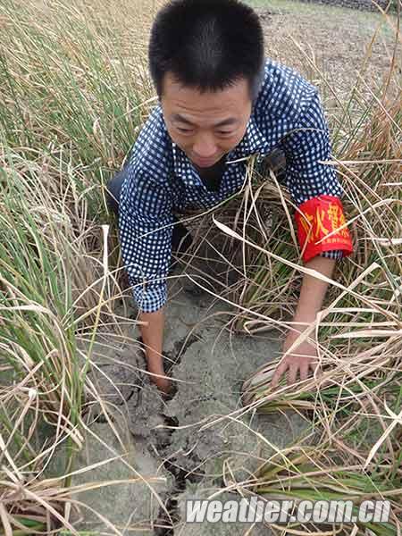 ������ʢ7�¸�����48����� ���ȳ�����������