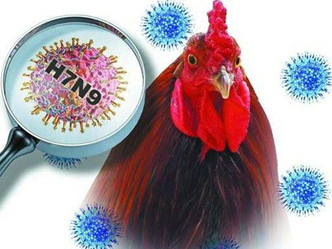 北京新确诊1例H7N9禽流感患者 目前病情危重