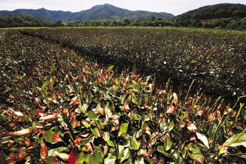 �������з� �������˹���ӭ��23��������