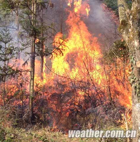 ��ɳ����ʵ�ָ��¡������ᡱ ȫʡ�����������������