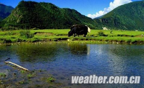 西藏进入旅游旺季 天气多变降雨频繁