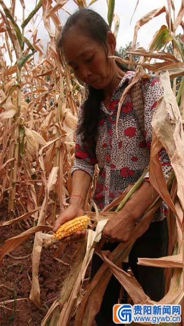 ����5���غ� ͩ��390������������