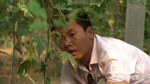 ¸ϢһԪ ߵΪİ㣨ͼ2