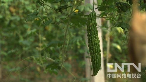 致富经:免息借人一百万元 高调成名为哪般(图:9)