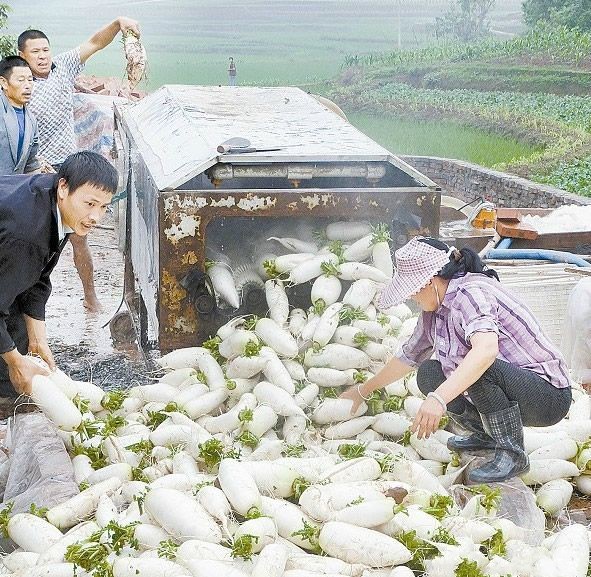 �Ĵ���������Ҥ�壺���ܲ���ǡ����¸���