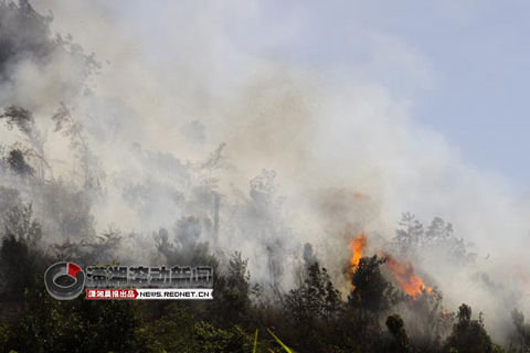 湖南山火被扑灭10小时后死灰复燃 疑是高温天气惹祸