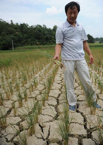 ����78�����С����ʡ� ���������ˮ����