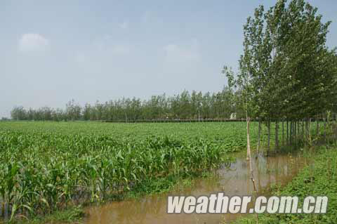 ��������Ϯ��ɽ�� ��Ѵ��������ü��