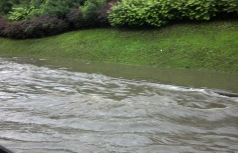 大连暴雨导致百余群众被困 辽宁海警一支队紧急救援