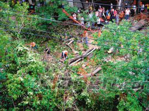 昨日凌晨狂风暴雨闪电惊雷 陕西经济损失1.85亿元