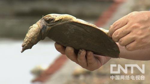 Ö¸»¾£ºÏº±îÈüÅÜ´øÀ´µÄ²Æ¸»£¨Í¼£º5£©