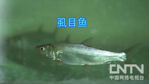 Ö¸»¾£ºÏº±îÈüÅÜ´øÀ´µÄ²Æ¸»£¨Í¼£º7£©