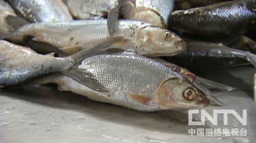 Ö¸»¾£ºÏº±îÈüÅÜ´øÀ´µÄ²Æ¸»£¨Í¼£º8£©