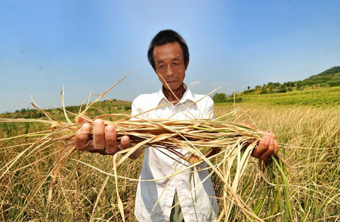 湖南高温持久战 抗旱迫在眉睫