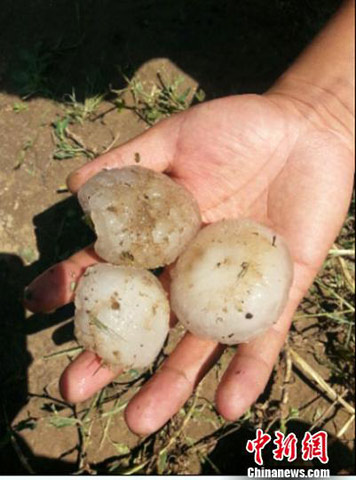 ���ඨ������5�������������������缦��(ͼ)