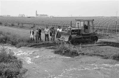 雨水“留恋”黑龙江 北大仓84.7千公顷农田绝收