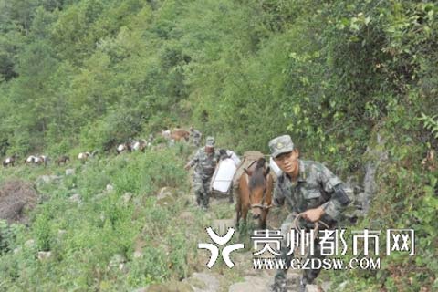 贵州高温又“露头” 干旱少雨骡马运水忙