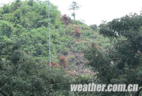 ���¸ɺ�����ЧӦ͹�� ���ϵ��������漱 