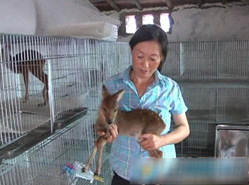 º£°²Å©ÃñÑøâ¯ÍÑÆ¶ СС⯱¦¼ÛÈü»Æ½ð