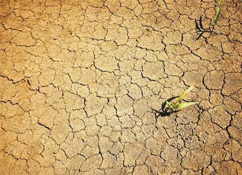 湖北10县市高温破40℃ 持续晴热高温伏旱加剧